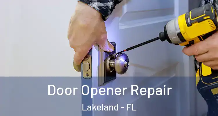  Door Opener Repair Lakeland - FL