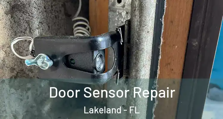  Door Sensor Repair Lakeland - FL