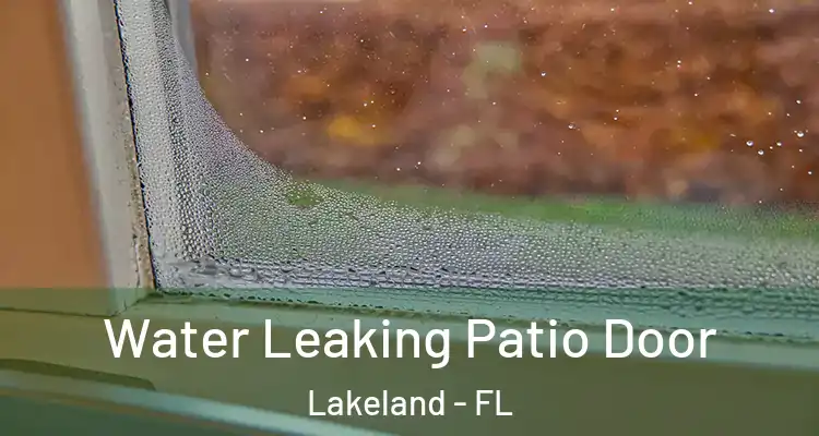  Water Leaking Patio Door Lakeland - FL